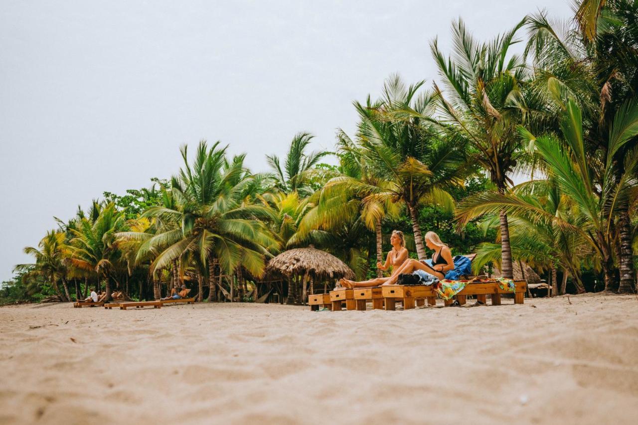 Viajero Tayrona Hostel & Ecohabs Buritaca Bagian luar foto