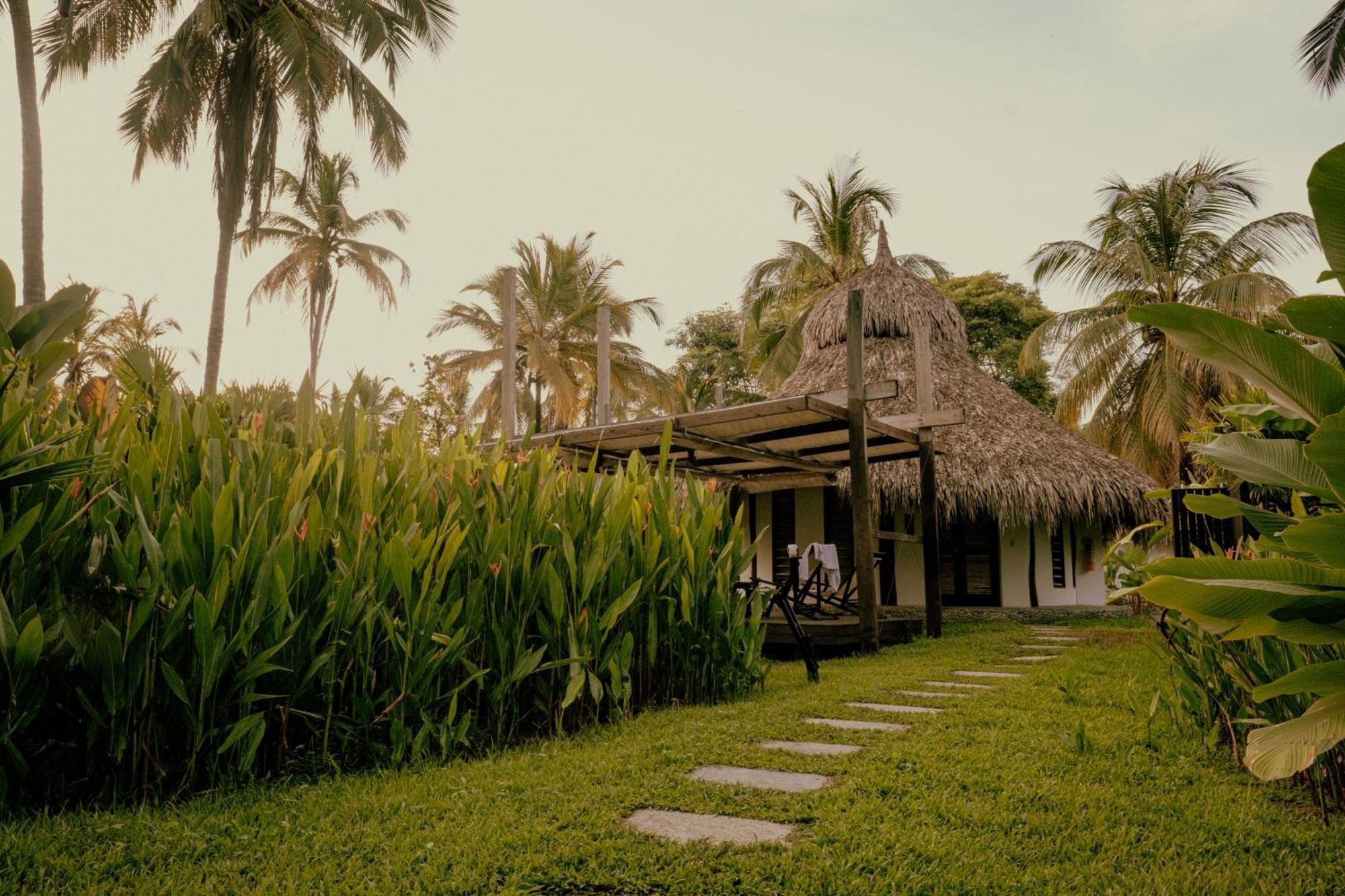 Viajero Tayrona Hostel & Ecohabs Buritaca Bagian luar foto