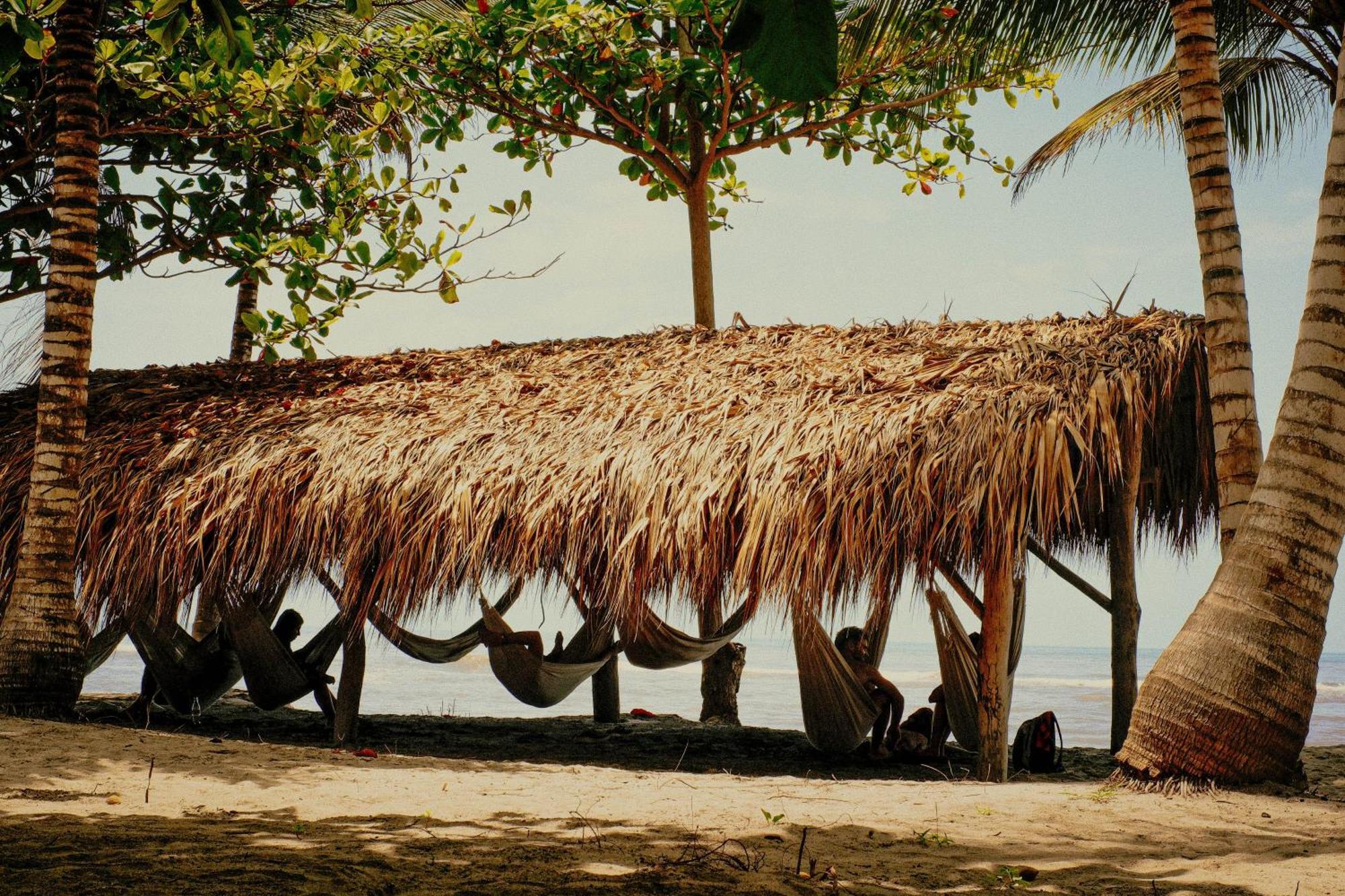 Viajero Tayrona Hostel & Ecohabs Buritaca Bagian luar foto